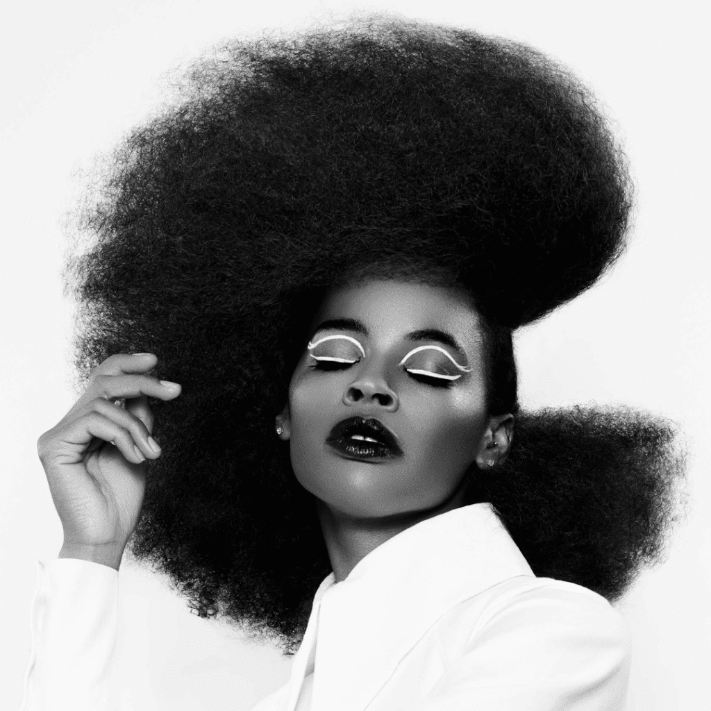 Achromatic collection inspiration afro hair
