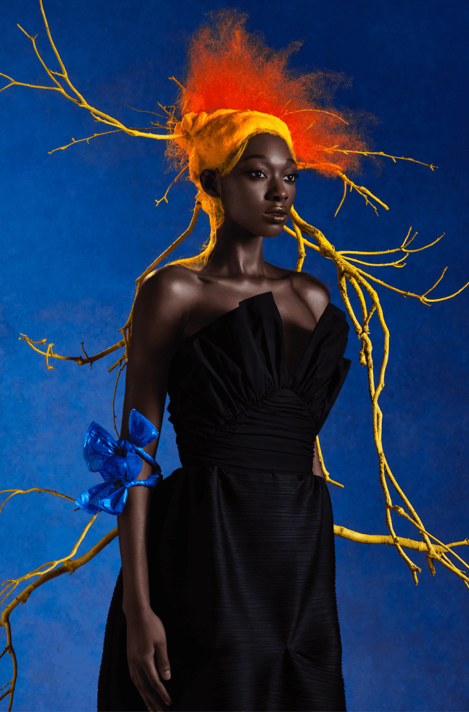 Danio Giangreco - Salon to Editorial