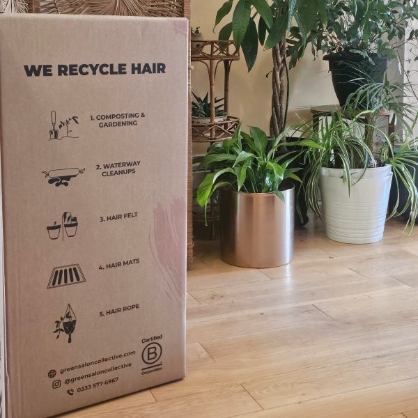 Next-Gen goals for sustainability and inclusivity