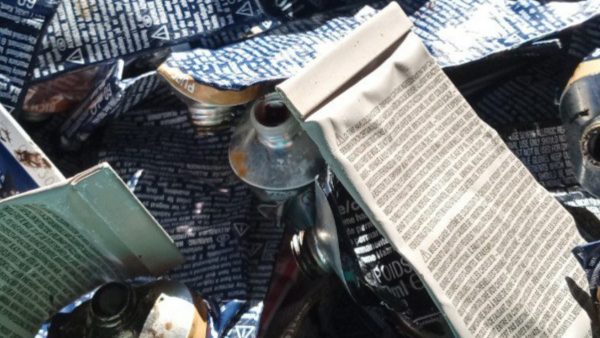 Next-Gen goals for sustainability and inclusivity